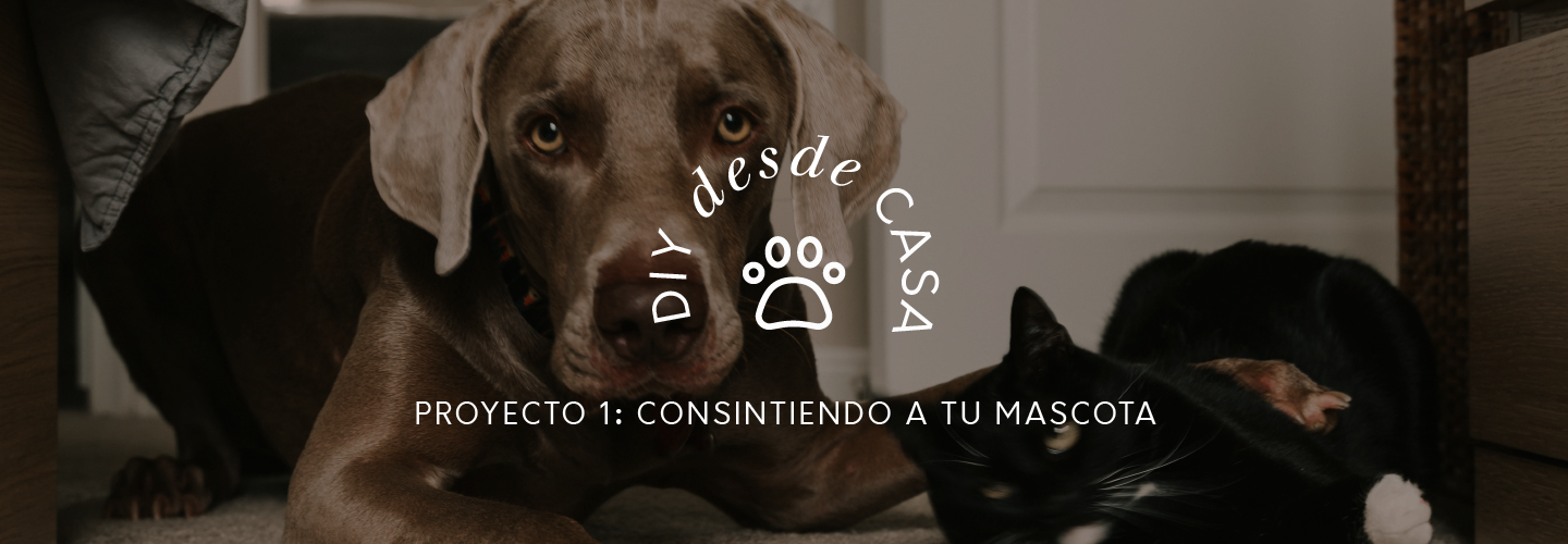 DIY desde casa - 1D: Dispensador de alimento para perros/gatos con RTC, potenciómetro y LCD
